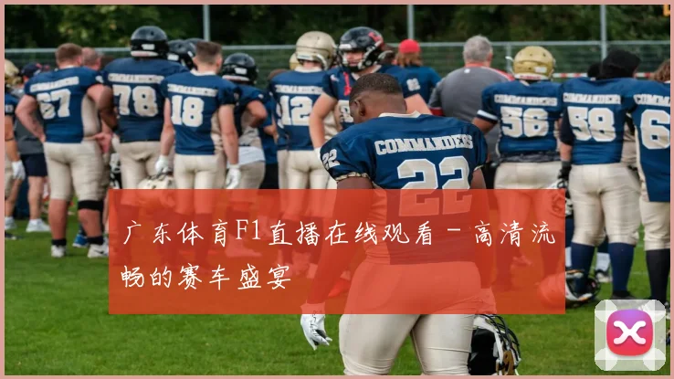 广东体育F1直播在线观看 - 高清流畅的赛车盛宴