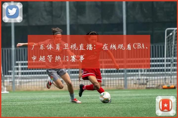广东体育卫视直播：在线观看CBA、中超等热门赛事