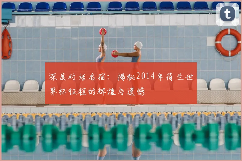 深度对话名宿：揭秘2014年荷兰世界杯征程的辉煌与遗憾