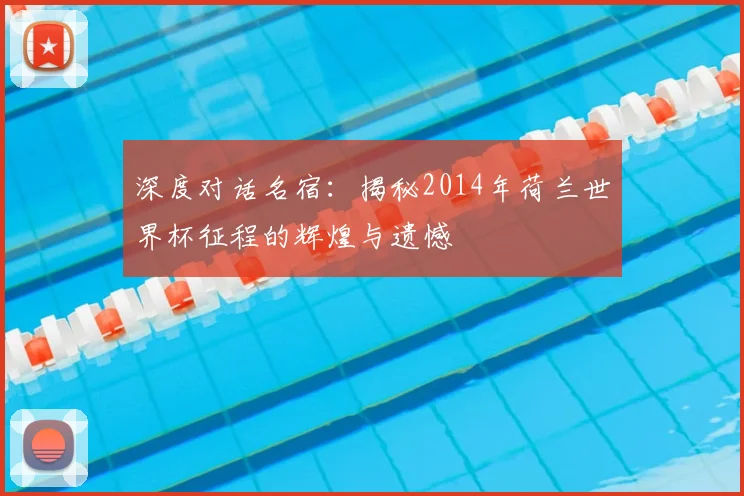 深度对话名宿：揭秘2014年荷兰世界杯征程的辉煌与遗憾