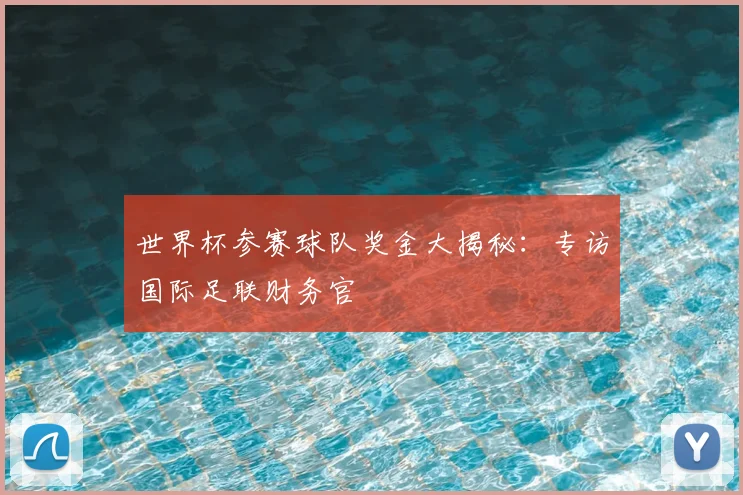世界杯参赛球队奖金大揭秘:专访国际足联财务官