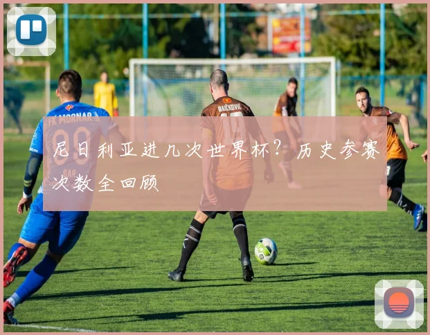 尼日利亚进几次世界杯？历史参赛次数全回顾