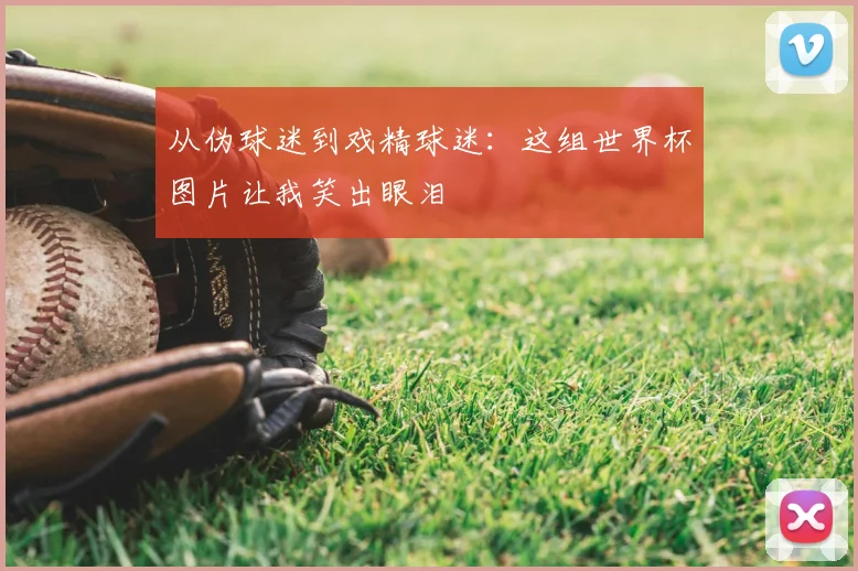 从伪球迷到戏精球迷：这组世界杯图片让我笑出眼泪