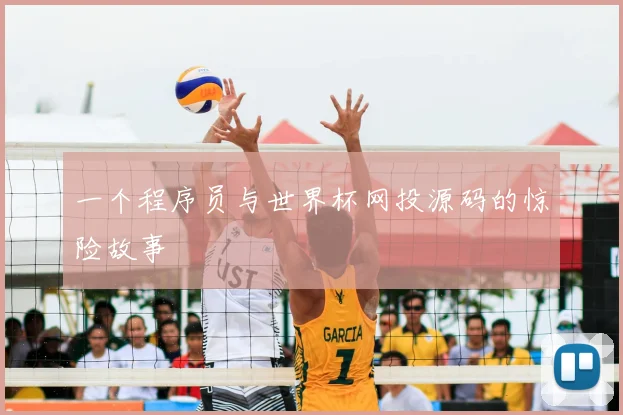 一个程序员与世界杯网投源码的惊险故事