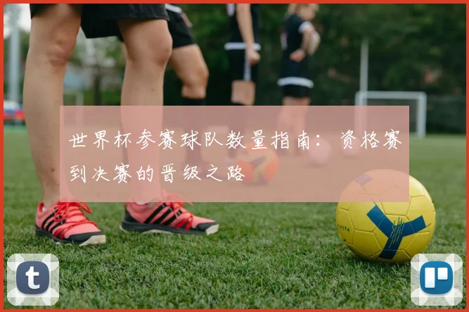世界杯参赛球队数量指南:资格赛到决赛的晋级之路