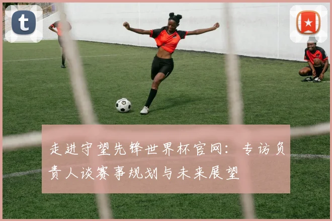 走进守望先锋世界杯官网：专访负责人谈赛事规划与未来展望