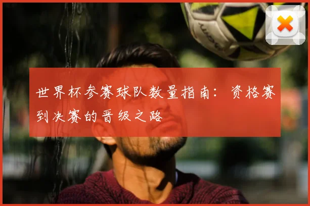 世界杯参赛球队数量指南:资格赛到决赛的晋级之路